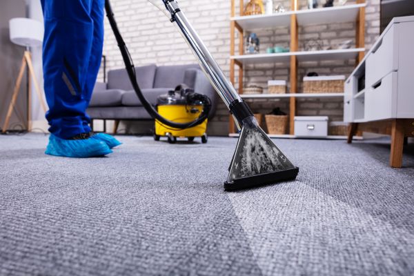 Carpet Deep Cleaning in Kirkland