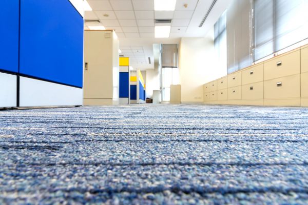 Business Carpet Cleaning in Kirkland