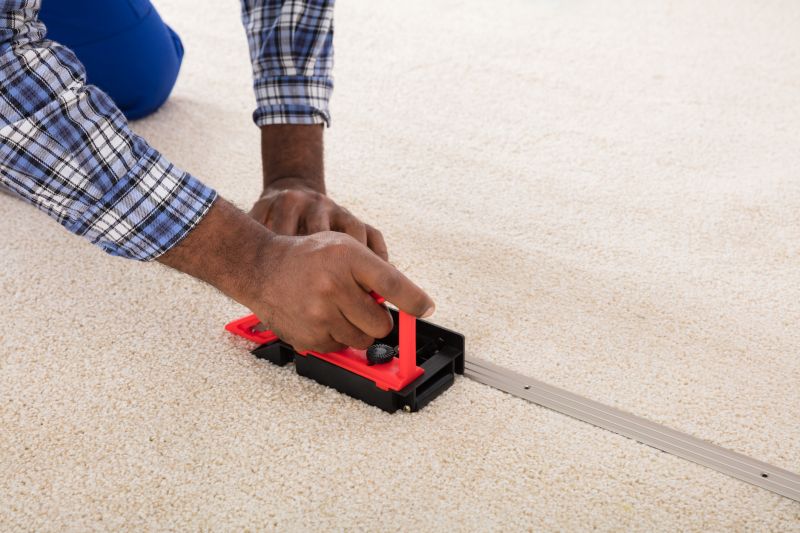 Happy Home with Clean Carpets