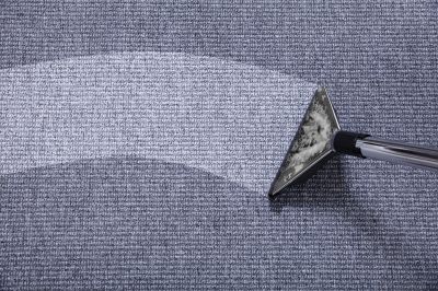 Holiday Carpet Preparation